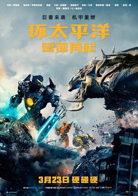 这个杀手不太冷